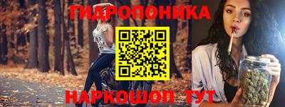 apvp Можайск