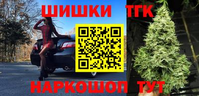 дживик Можга