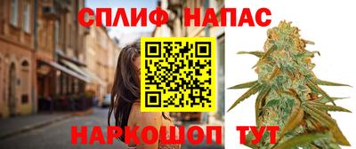 дживик Можга