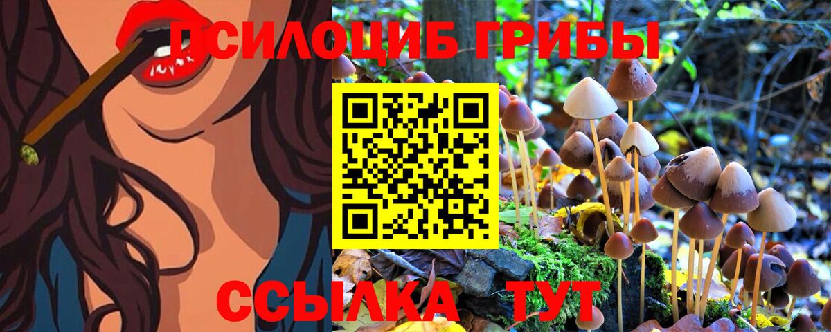 Старая Купавна  Галлюциногенные грибы MAGIC MUSHROOMS  Вход с VPN 