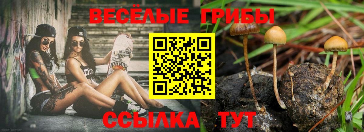Галлюциногенные грибы Cubensis Старая Купавна